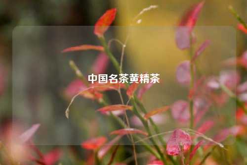 中国名茶黄精茶