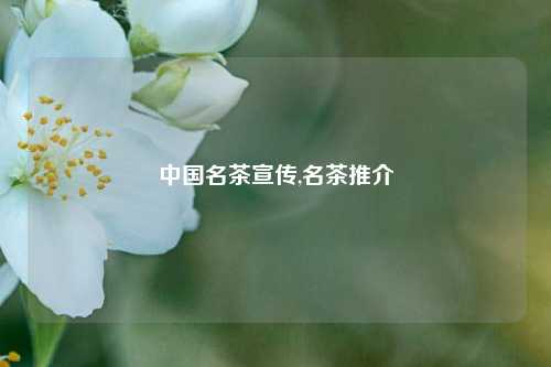 中国名茶宣传,名茶推介