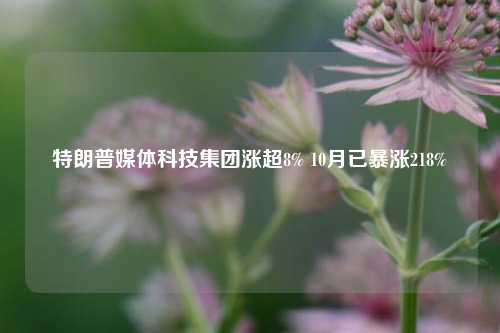 特朗普媒体科技集团涨超8% 10月已暴涨218%