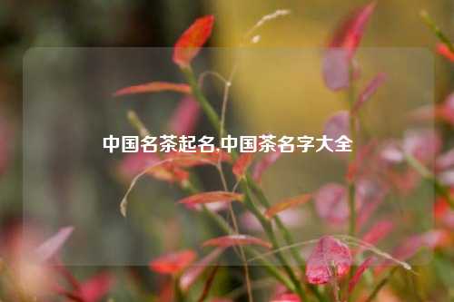 中国名茶起名,中国茶名字大全