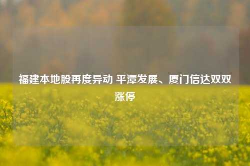 福建本地股再度异动 平潭发展、厦门信达双双涨停