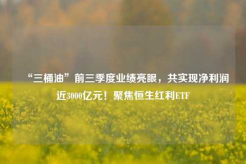 “三桶油”前三季度业绩亮眼，共实现净利润近3000亿元！聚焦恒生红利ETF