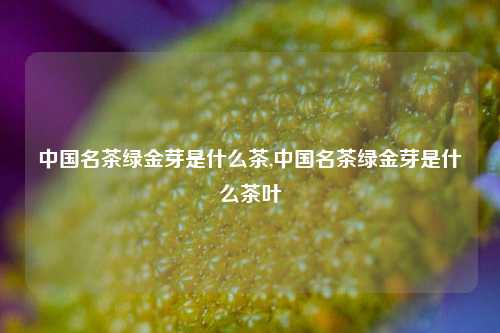 中国名茶绿金芽是什么茶,中国名茶绿金芽是什么茶叶