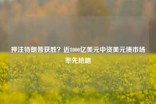 押注特朗普获胜？近8000亿美元中资美元债市场率先抢跑