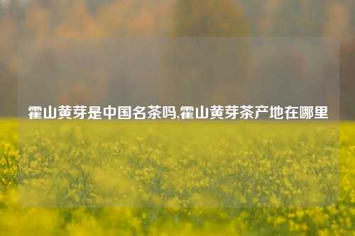 霍山黄芽是中国名茶吗,霍山黄芽茶产地在哪里