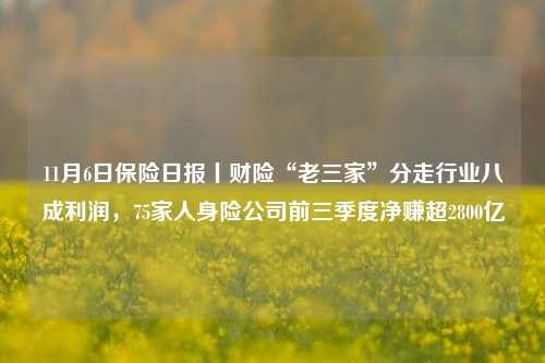 11月6日保险日报丨财险“老三家”分走行业八成利润，75家人身险公司前三季度净赚超2800亿