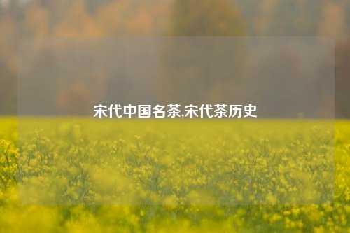 宋代中国名茶,宋代茶历史