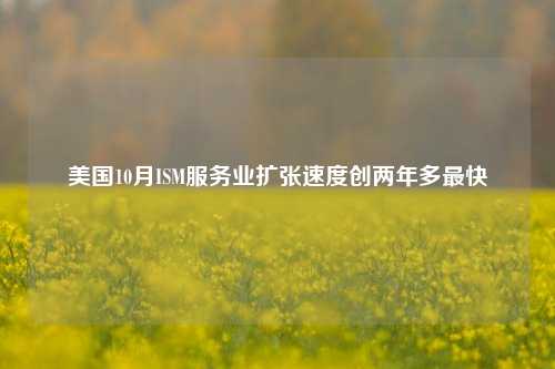 美国10月ISM服务业扩张速度创两年多最快