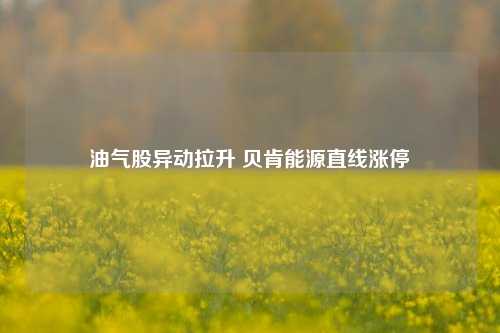 油气股异动拉升 贝肯能源直线涨停