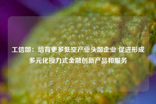 工信部：培育更多低空产业头部企业 促进形成多元化接力式金融创新产品和服务