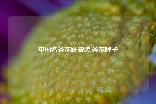 中国名茶花纸袋装,茶花牌子