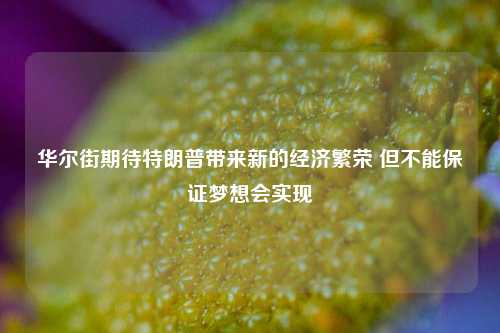 华尔街期待特朗普带来新的经济繁荣 但不能保证梦想会实现