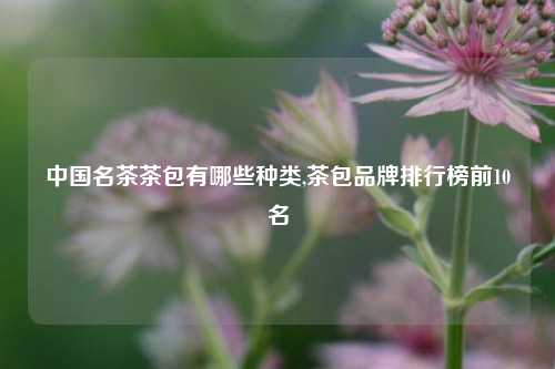 中国名茶茶包有哪些种类,茶包品牌排行榜前10名