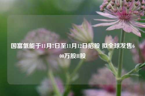 国富氢能于11月7日至11月12日招股 拟全球发售600万股H股