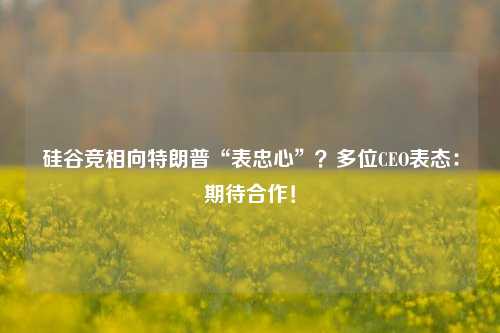 硅谷竞相向特朗普“表忠心”？多位CEO表态：期待合作！