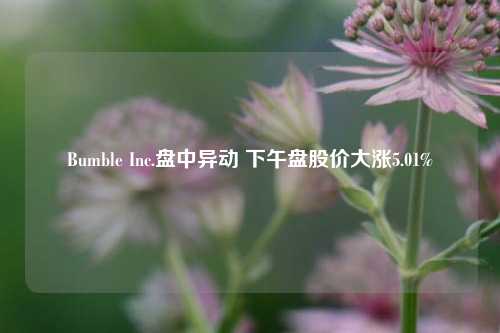 Bumble Inc.盘中异动 下午盘股价大涨5.01%