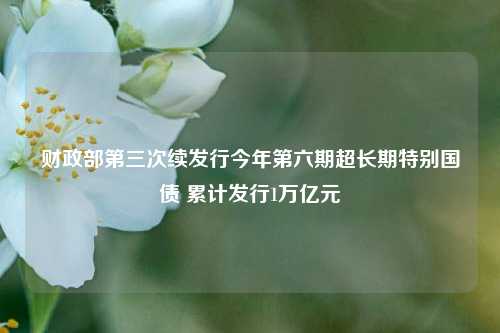 财政部第三次续发行今年第六期超长期特别国债 累计发行1万亿元