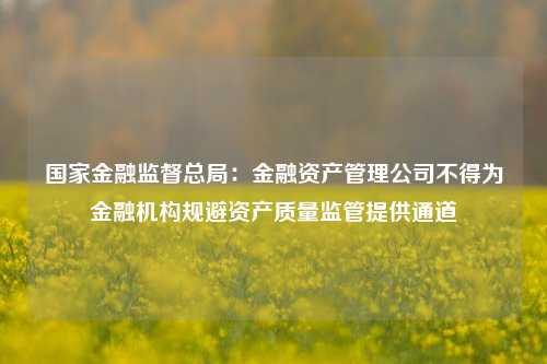 国家金融监督总局：金融资产管理公司不得为金融机构规避资产质量监管提供通道