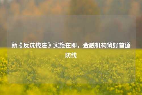 新《反洗钱法》实施在即，金融机构筑好首道防线