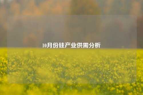 10月份硅产业供需分析