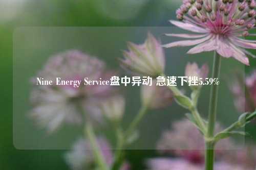 Nine Energy Service盘中异动 急速下挫5.59%