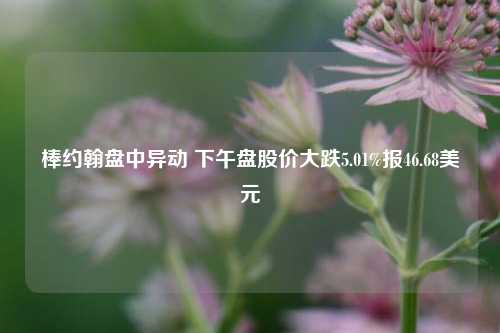 棒约翰盘中异动 下午盘股价大跌5.01%报46.68美元