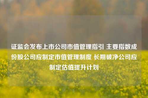 证监会发布上市公司市值管理指引 主要指数成份股公司应制定市值管理制度 长期破净公司应制定估值提升计划