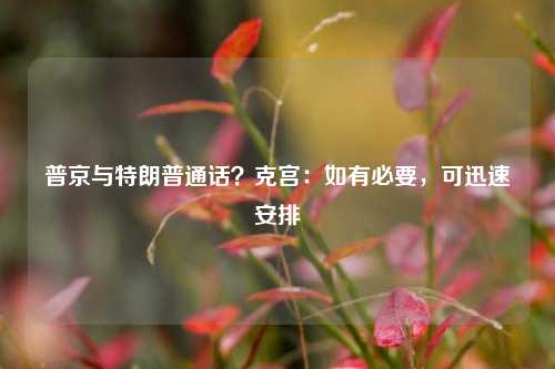 普京与特朗普通话？克宫：如有必要，可迅速安排