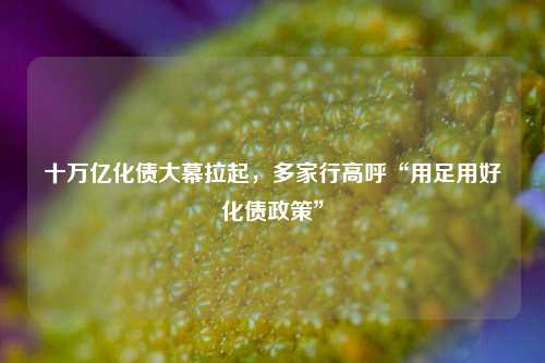 十万亿化债大幕拉起，多家行高呼“用足用好化债政策”