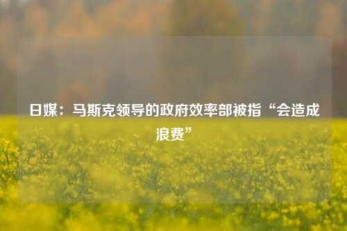 日媒：马斯克领导的政府效率部被指“会造成浪费”