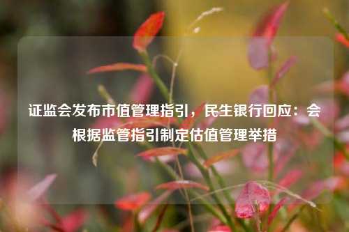 证监会发布市值管理指引，民生银行回应：会根据监管指引制定估值管理举措