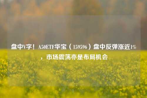 盘中V字！A50ETF华宝（159596）盘中反弹涨近1%，市场震荡亦是布局机会