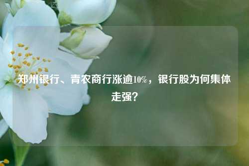 郑州银行、青农商行涨逾10%，银行股为何集体走强？