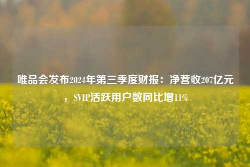 唯品会发布2024年第三季度财报：净营收207亿元，SVIP活跃用户数同比增11%