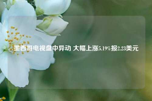 墨西哥电视盘中异动 大幅上涨5.19%报2.23美元