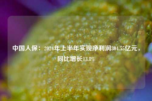 中国人保：2024年上半年实现净利润304.55亿元，同比增长13.8%