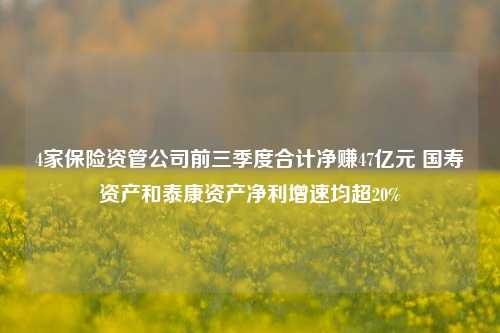 4家保险资管公司前三季度合计净赚47亿元 国寿资产和泰康资产净利增速均超20%