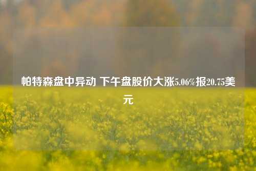 帕特森盘中异动 下午盘股价大涨5.06%报20.75美元