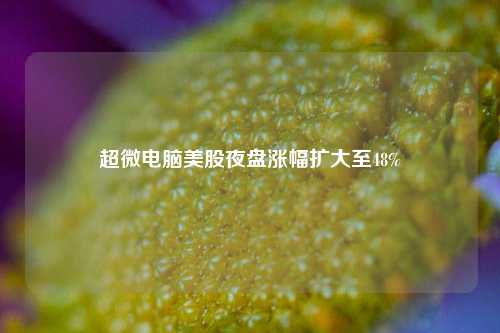 超微电脑美股夜盘涨幅扩大至48%