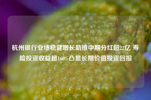 杭州银行业绩稳健增长助推中期分红超22亿 寿险投资收益超160%凸显长期价值投资回报