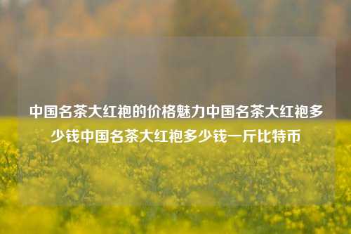 中国名茶大红袍的价格魅力中国名茶大红袍多少钱中国名茶大红袍多少钱一斤比特币