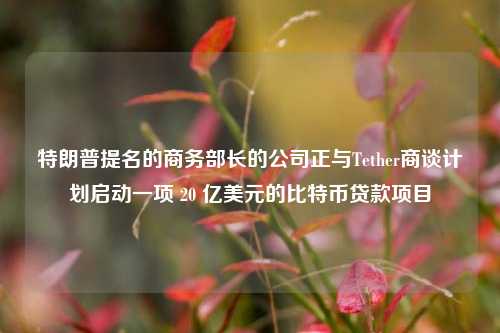 特朗普提名的商务部长的公司正与Tether商谈计划启动一项 20 亿美元的比特币贷款项目