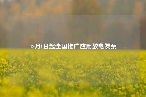 12月1日起全国推广应用数电发票