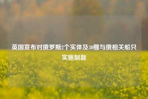 英国宣布对俄罗斯2个实体及30艘与俄相关船只实施制裁