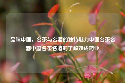 双成药业