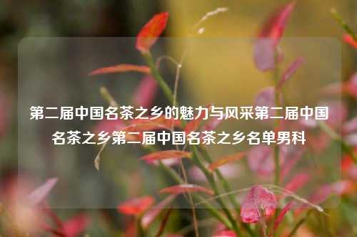 第二届中国名茶之乡的魅力与风采第二届中国名茶之乡第二届中国名茶之乡名单男科