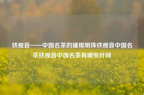 铁观音——中国名茶的璀璨明珠铁观音中国名茶铁观音中国名茶有哪些叶珂