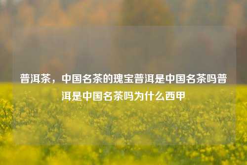 普洱茶，中国名茶的瑰宝普洱是中国名茶吗普洱是中国名茶吗为什么西甲