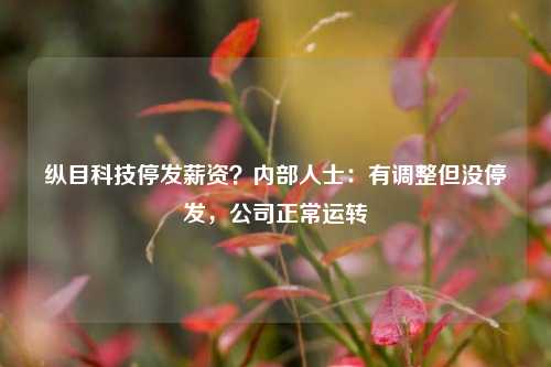 纵目科技停发薪资？内部人士：有调整但没停发，公司正常运转