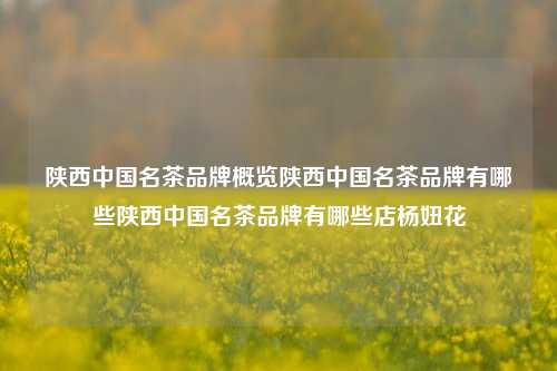 陕西中国名茶品牌概览陕西中国名茶品牌有哪些陕西中国名茶品牌有哪些店杨妞花